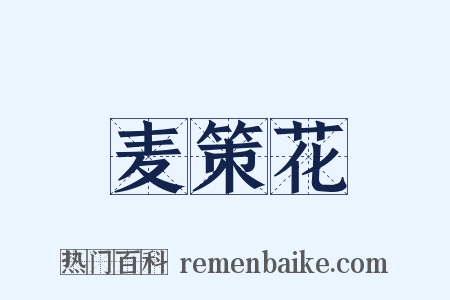 麦策花是什么意思的图片